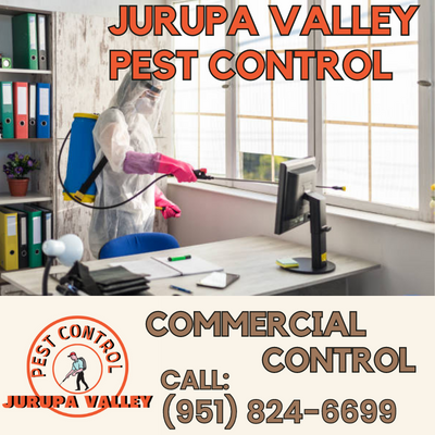 Commercial Pest Control in Jurupa Valley - Effective & Safe | Jurupa Valley Pest Control